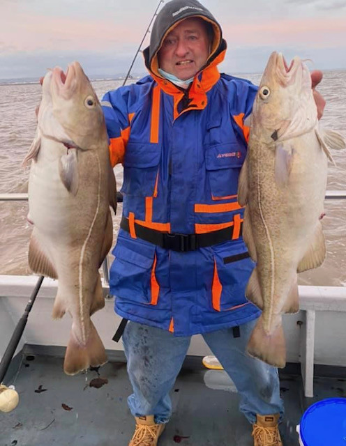 Bristol Channel cod - photo Nigel Powell